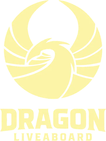 Dragon Liveaboard