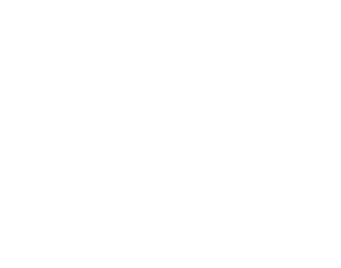 Finn Flügel logo